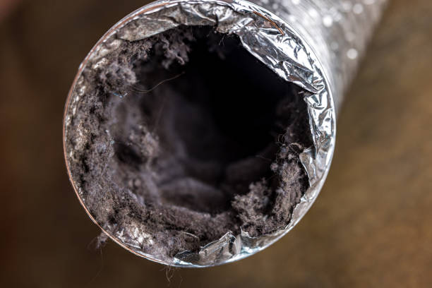 Best Commercial Air Duct Cleaning  in Porters Neck, NC